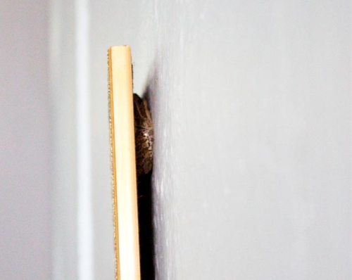 IMG_3084-as-Smart-Object-1-copy