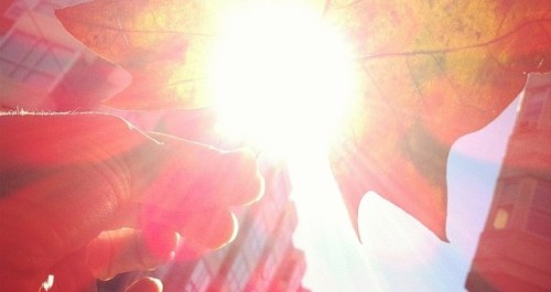 1471096_10202173944487296_1102936247_n